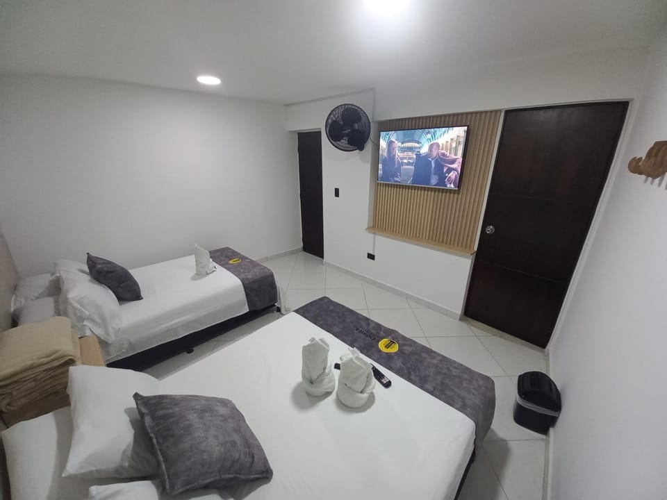 Bed, TV and multimedia, towels