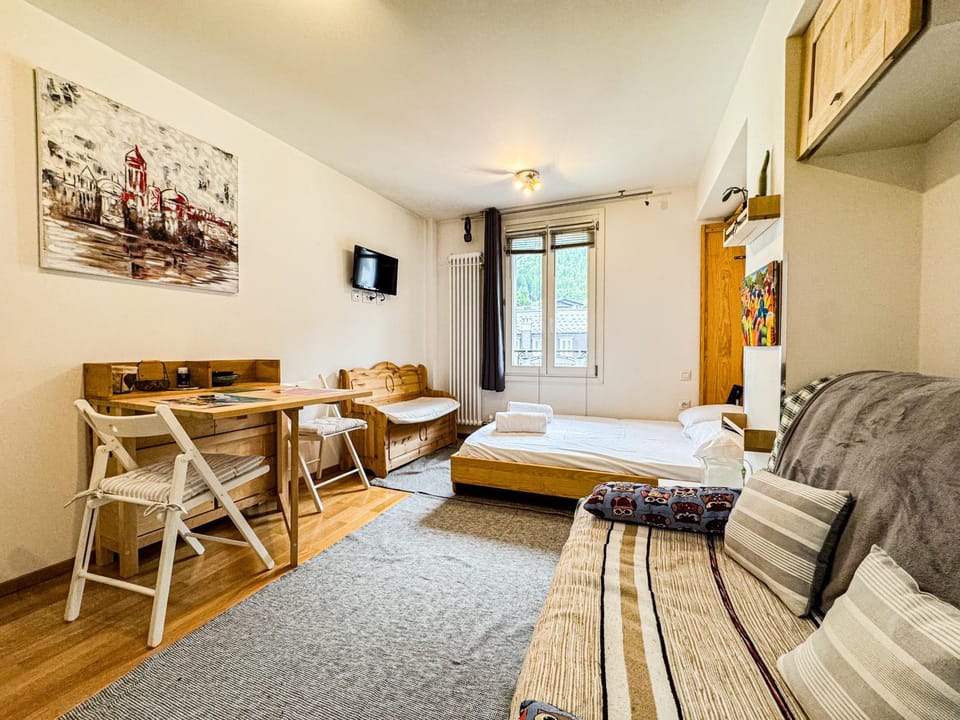 Studio 4810 Centre Chamonix Apartment in Chamonix