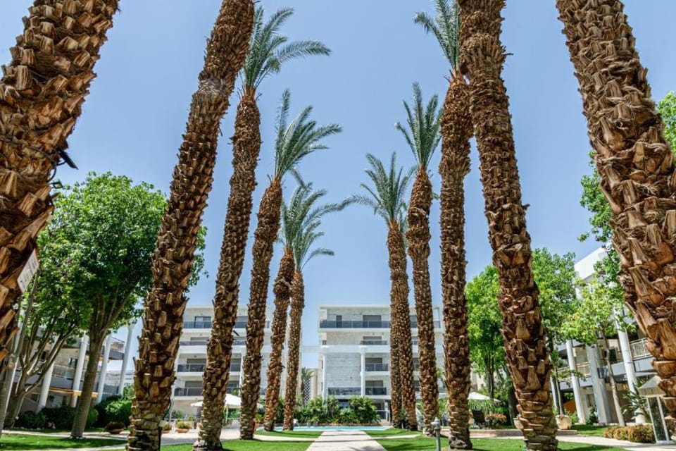 Property building, Garden view
