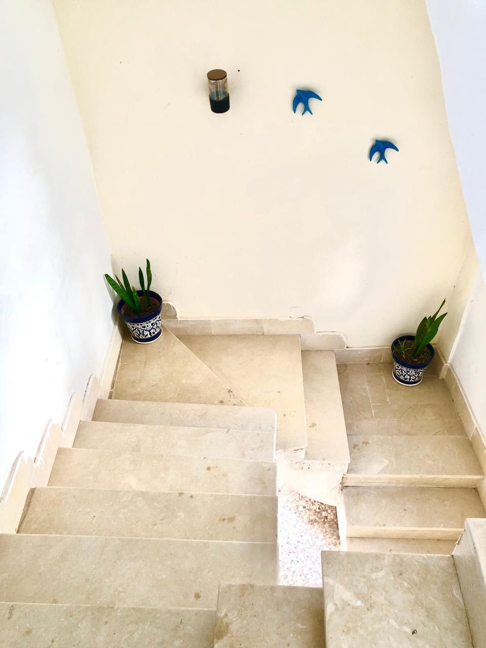 Résidence Farhani Apartment in Tunis