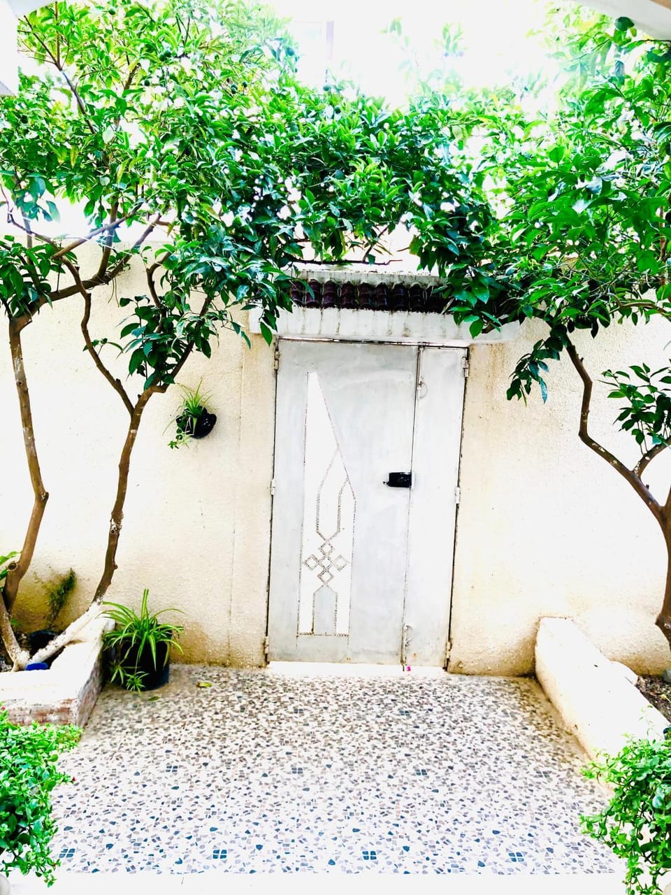 Résidence Farhani Apartment in Tunis