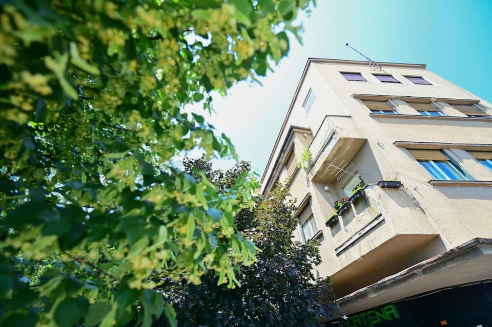 Property building, Garden view
