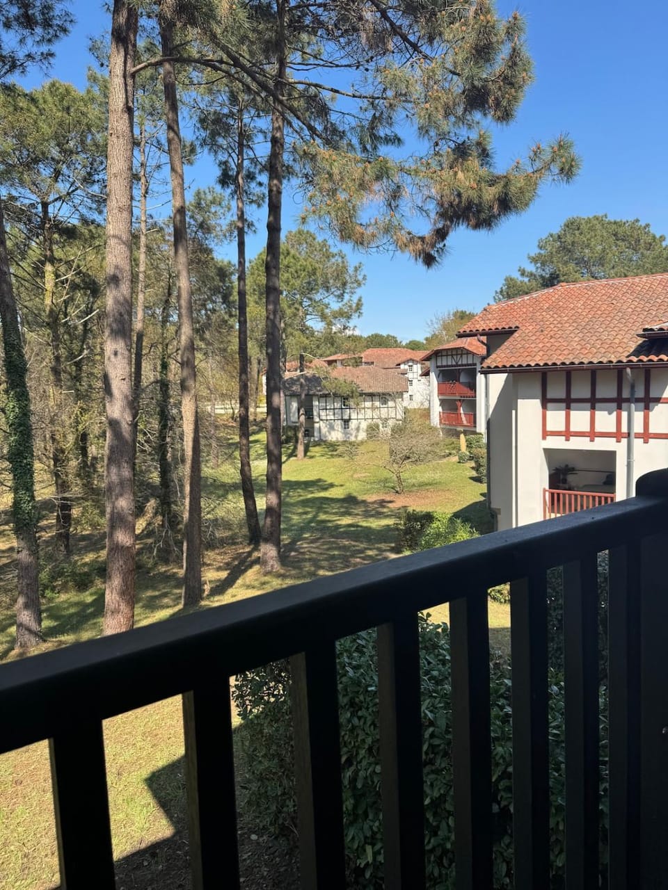 Garden view