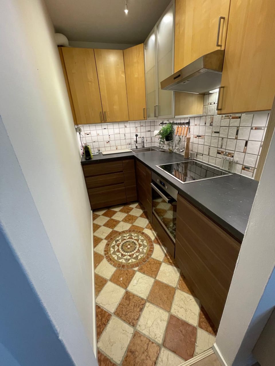 Kitchen or kitchenette, dishwasher, stove