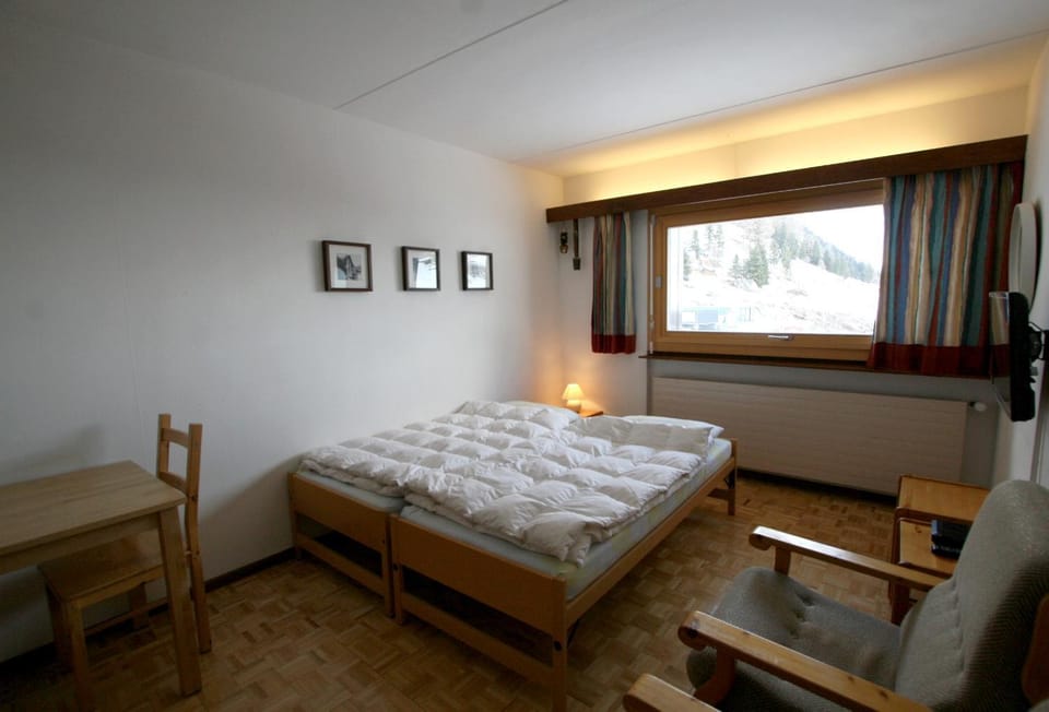Studio Résidence Rosablanche Siviez Apartment in Nendaz