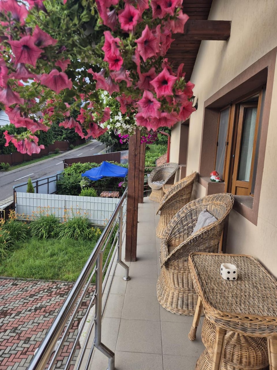 Garden view