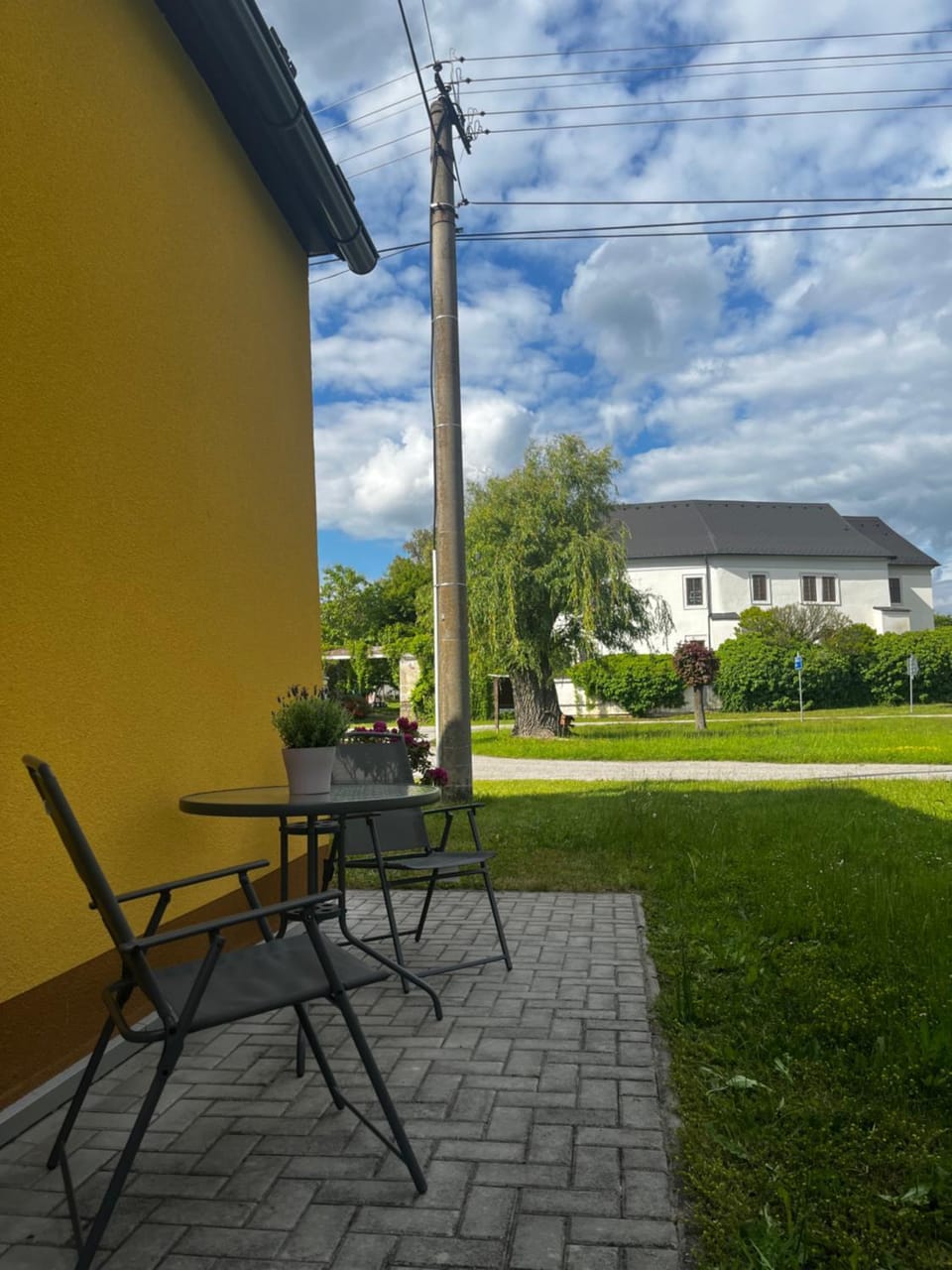 Garden view
