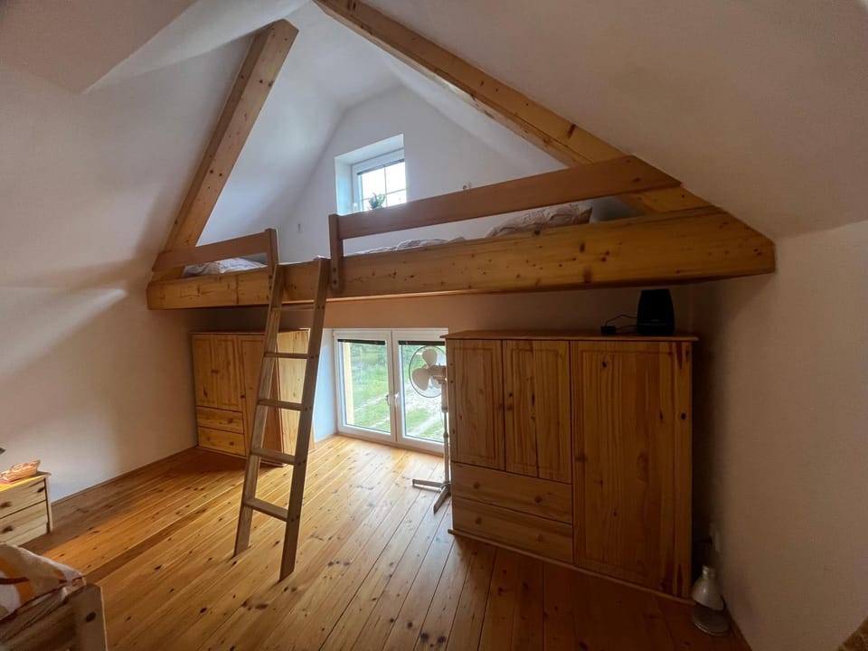 Bed, Photo of the whole room, Bedroom, bunk bed