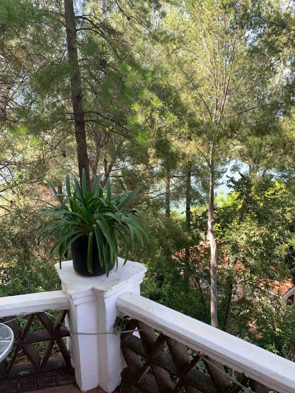 Balcony/Terrace, Balcony/Terrace