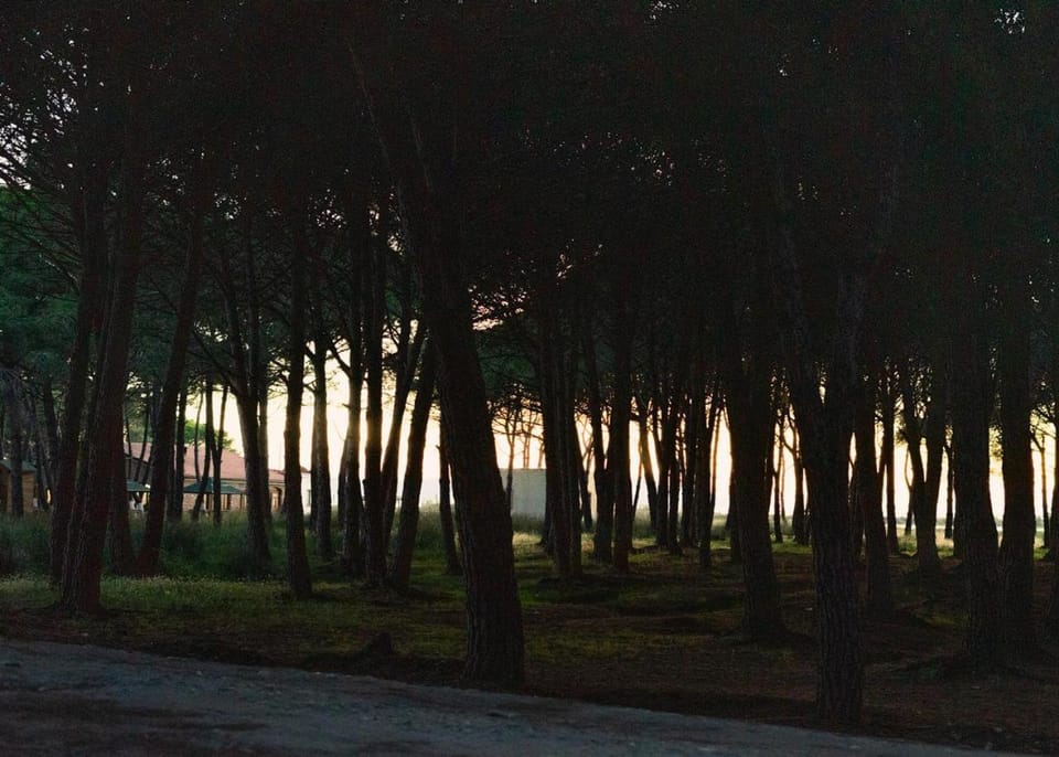 Natural landscape