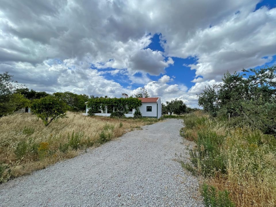 Property building, Spring, Day, Natural landscape