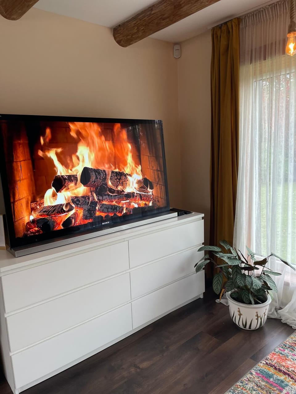 TV and multimedia