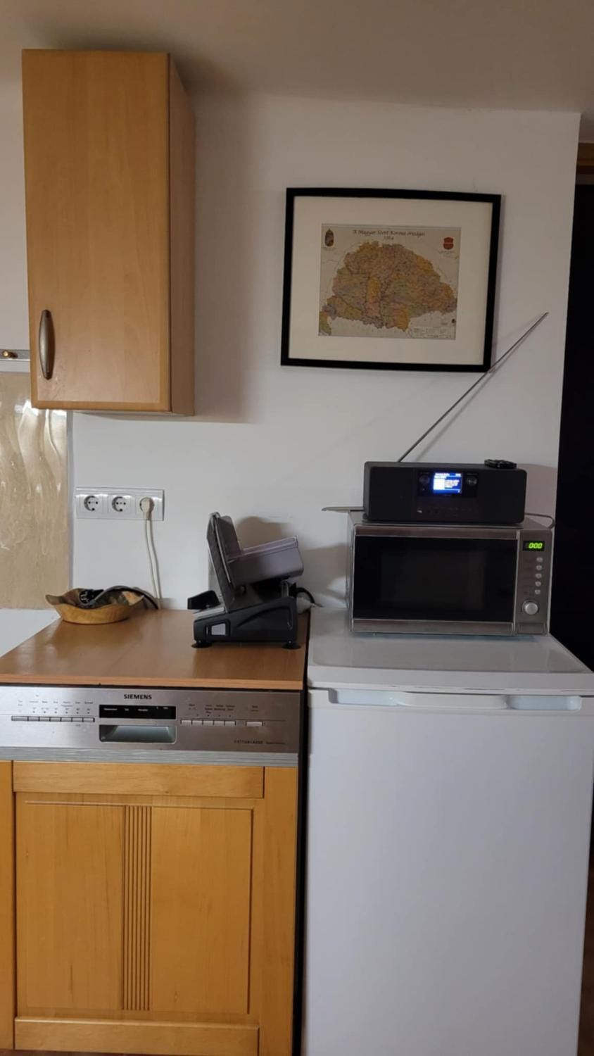 Kitchen or kitchenette, dishwasher