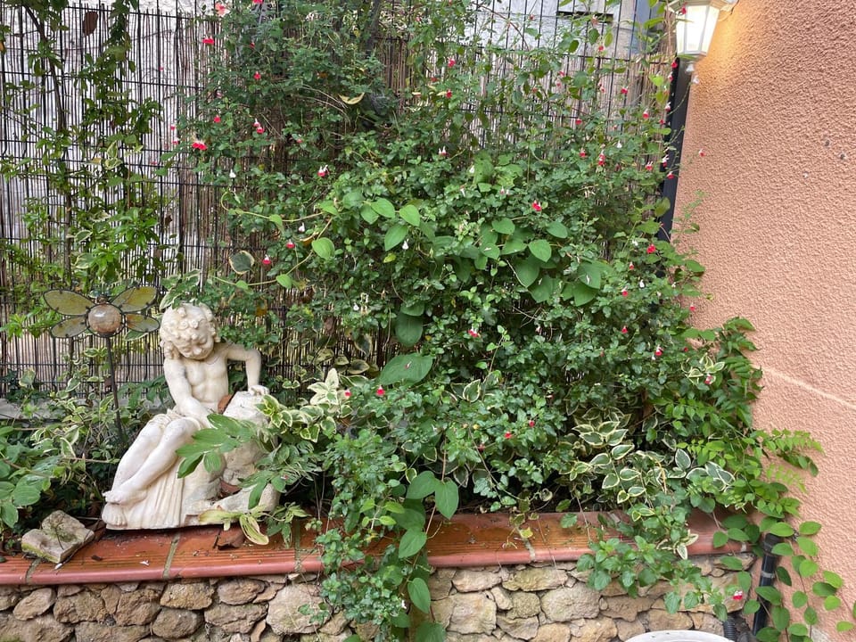 Appartement avec jardin sous les couverts Apartment in Occitanie