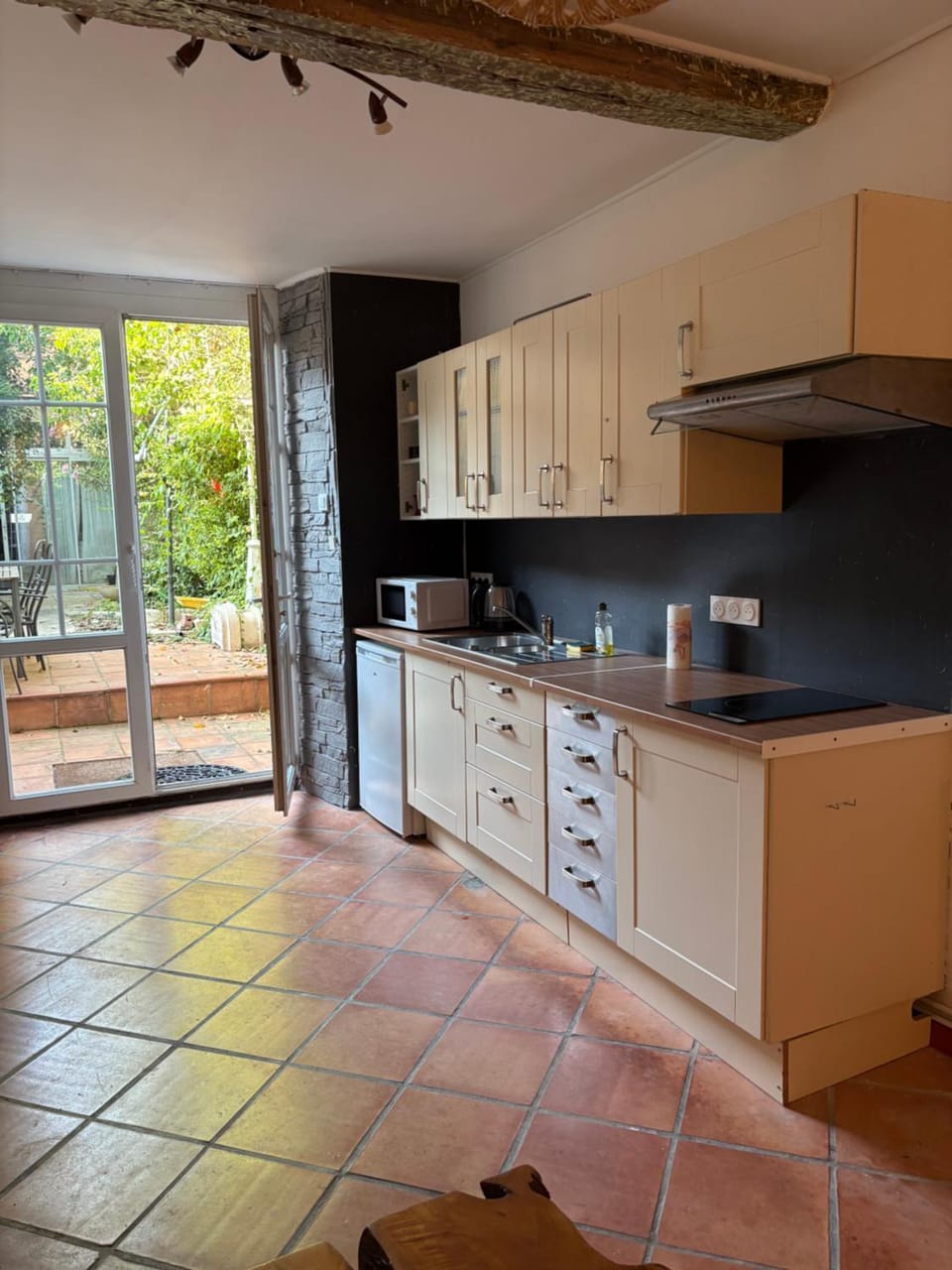 Appartement avec jardin sous les couverts Apartment in Occitanie