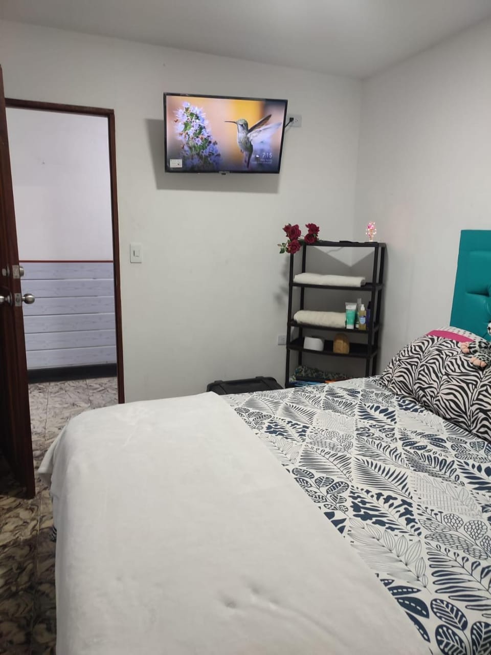Bed, TV and multimedia