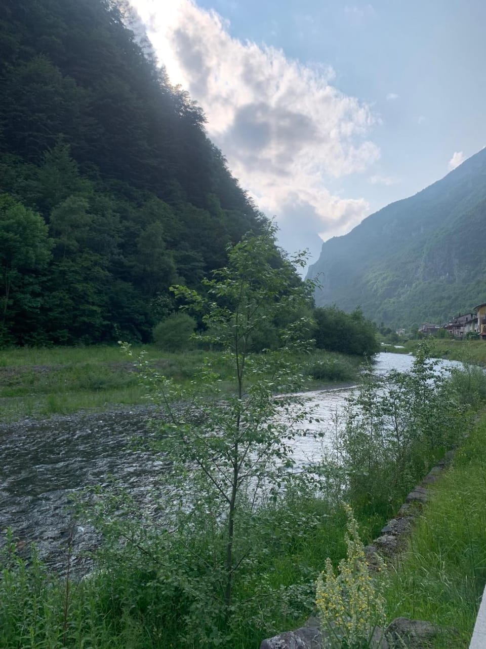 Natural landscape