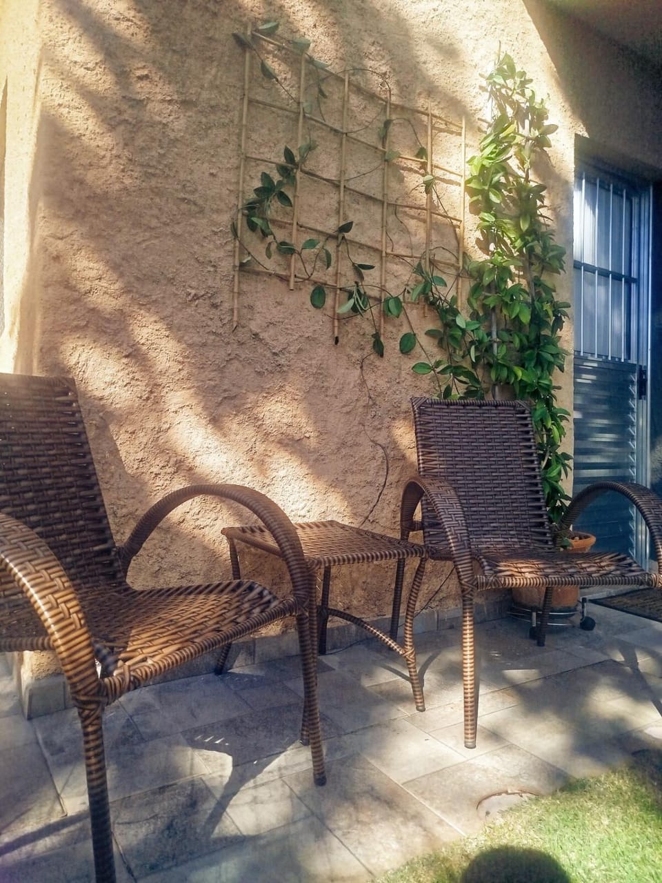 Day, Garden, Garden view