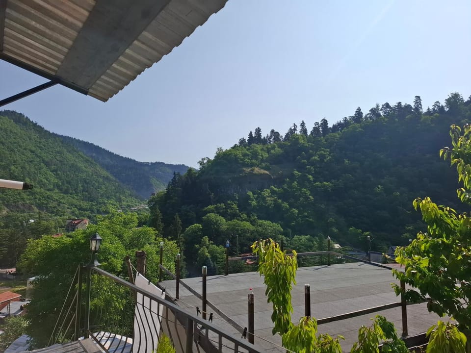 Borjomi Nest 2 Apartment in Georgia
