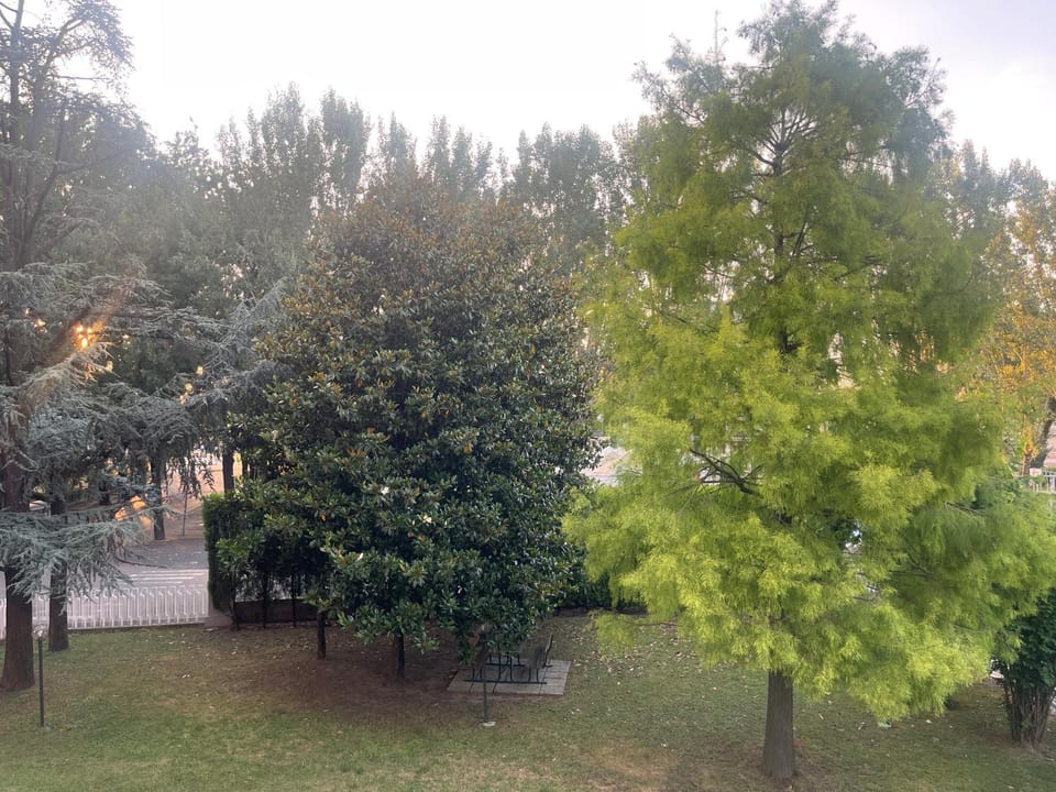 Garden view