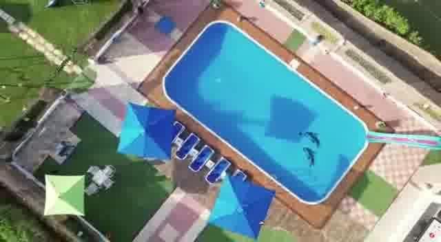 Villa El Reem Villa in Alexandria Governorate