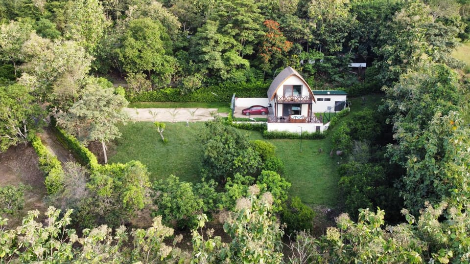 Natural landscape, Bird's eye view, Garden, Garden view