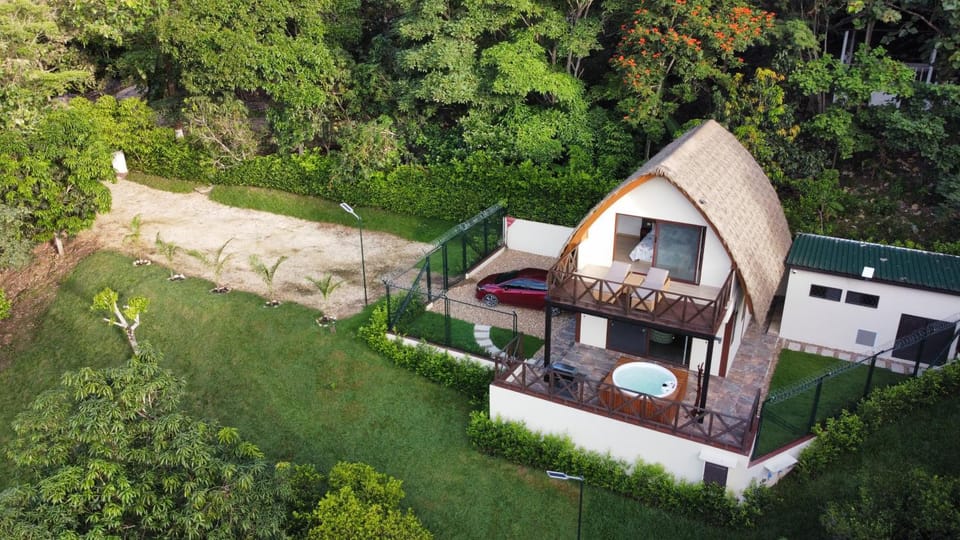 Natural landscape, Bird's eye view, Garden, Garden view
