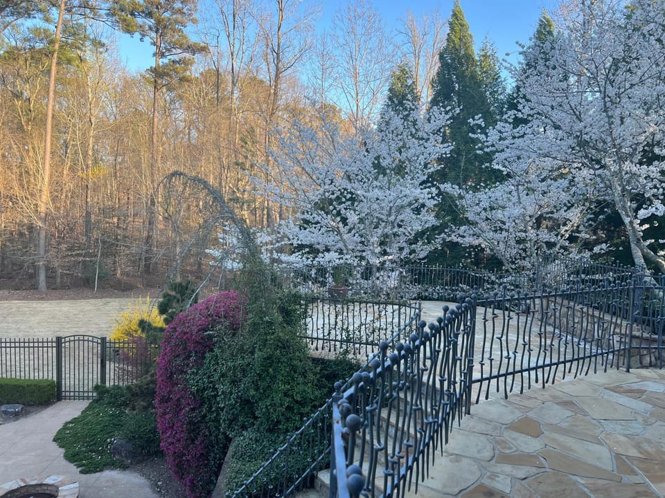 Garden, Garden view