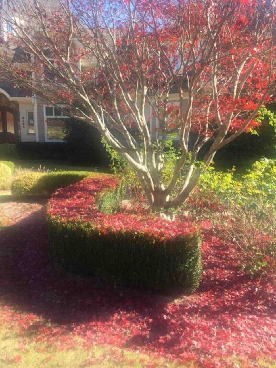 Luxury Villa in Cary - Raleigh Villa in Cary