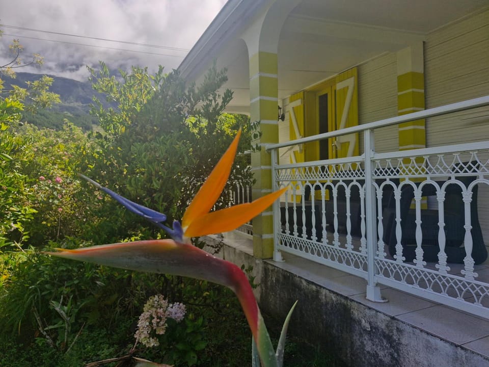 Kaz Payanké Maison créole au cœur de Cilaos Country House in Réunion