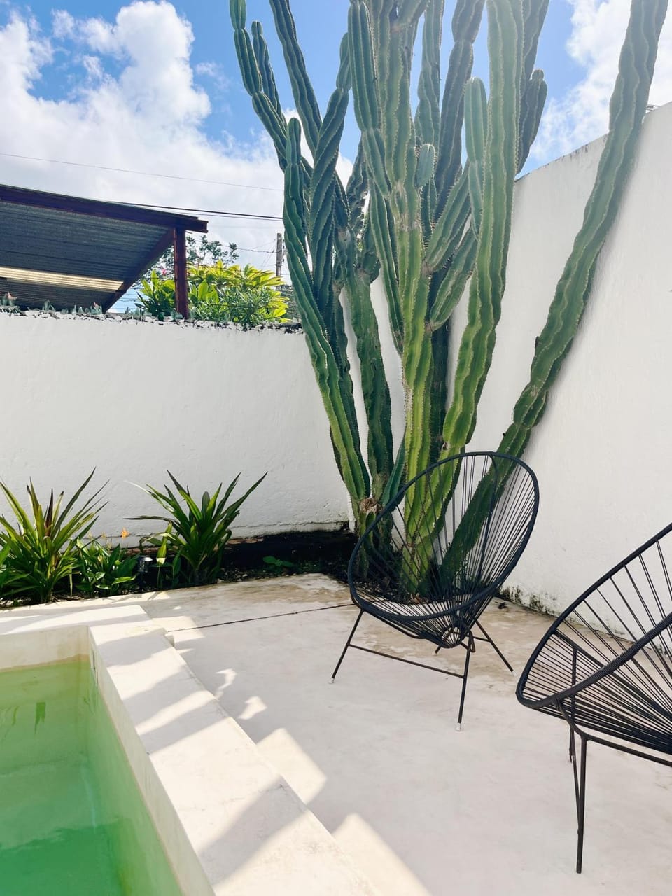 Patio, Garden, Balcony/Terrace, Swimming pool