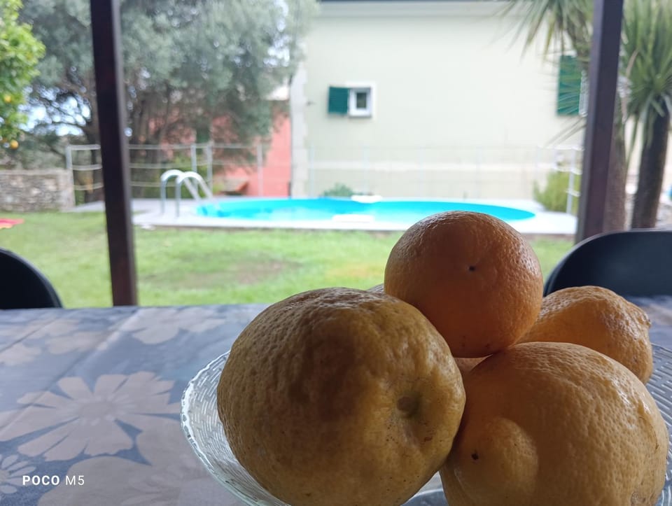 Patio, Garden, Balcony/Terrace, Food and drinks, Food, Pool view, Swimming pool, Swimming pool