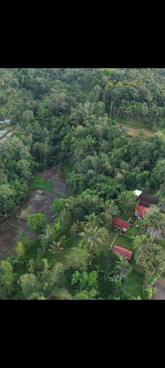 Day, Natural landscape, Bird's eye view