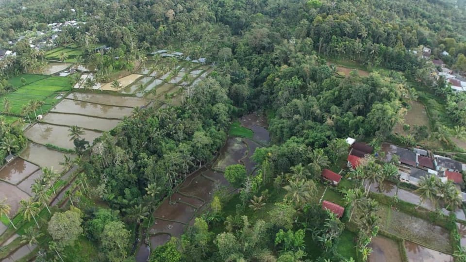 Day, Neighbourhood, Natural landscape, Bird's eye view, Street view