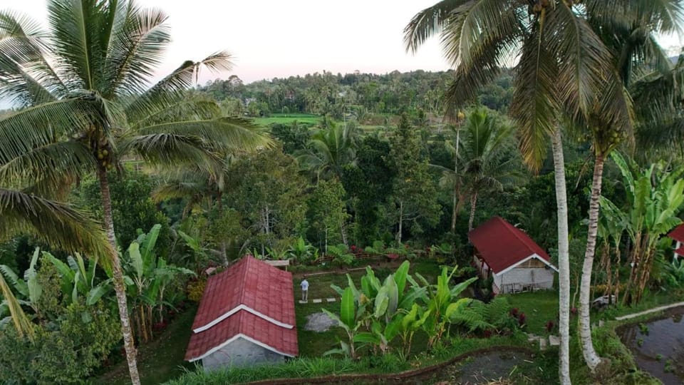 Property building, Day, Natural landscape, Garden, Garden view