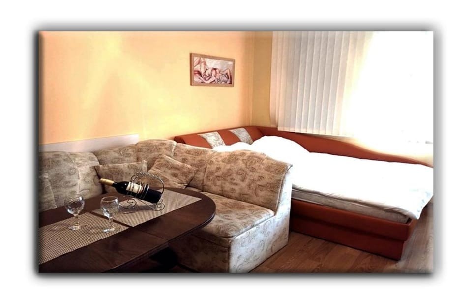 Studio Resonance Bansko Apartment in Bansko