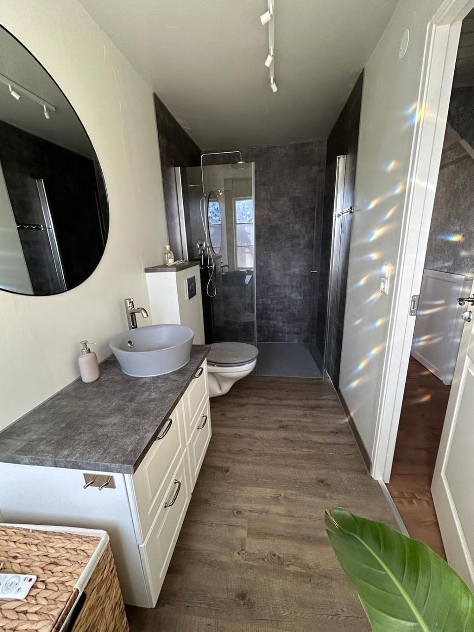 Shower, Toilet, Bathroom, Photo of the whole room