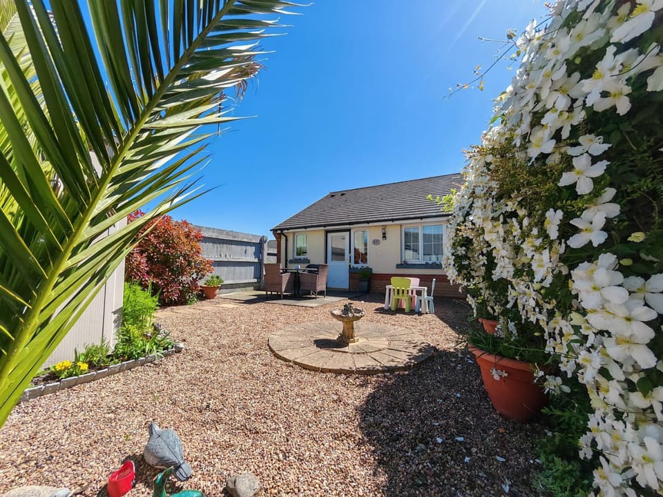 Patio, Day, Garden, Garden view