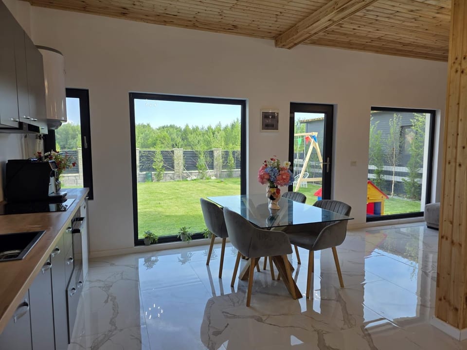 Vila Amedeea Villa in Romania