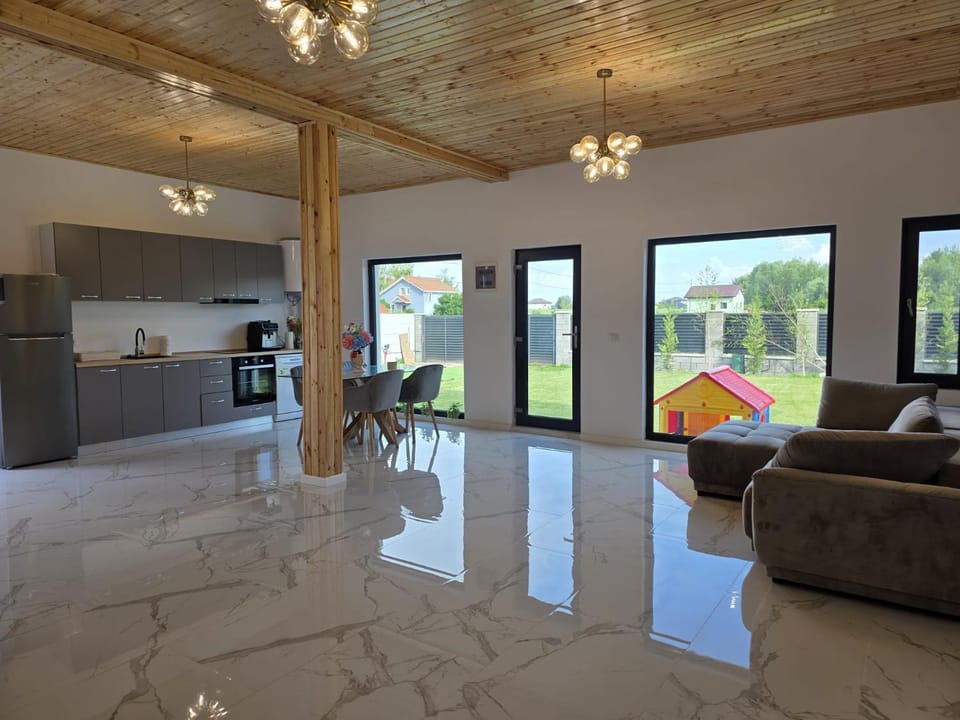 Vila Amedeea Villa in Romania