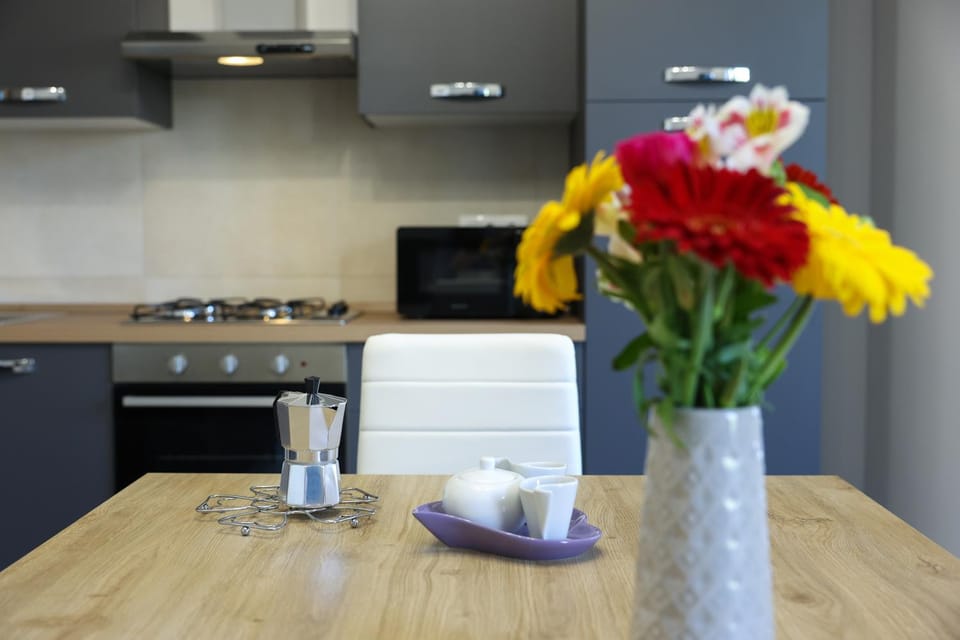 Coffee/tea facilities, Kitchen or kitchenette, stove