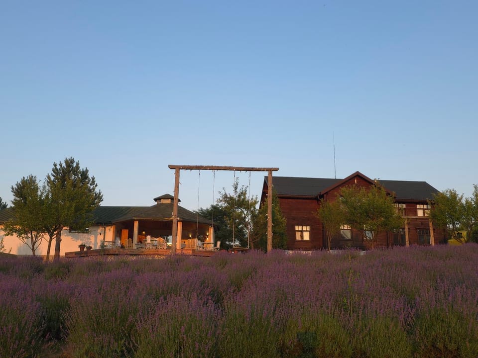 The Provence Village Inn in Lviv Oblast