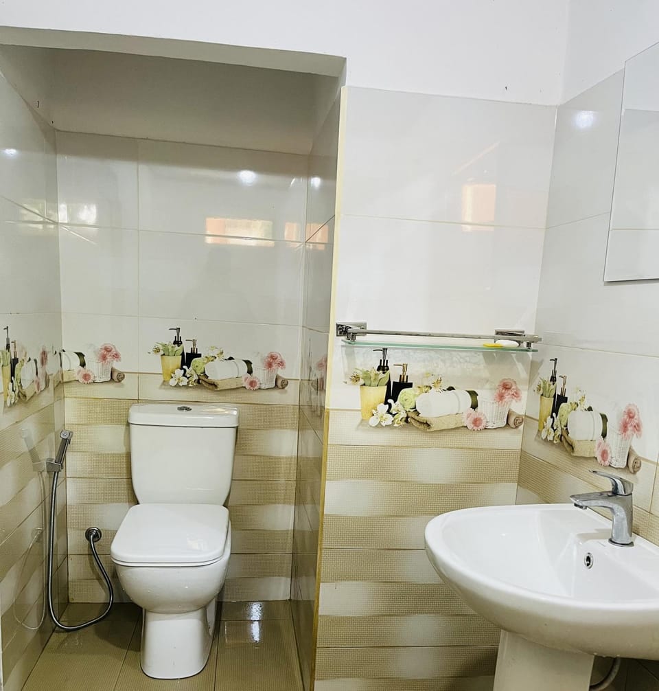 Toilet, Bathroom, bidet