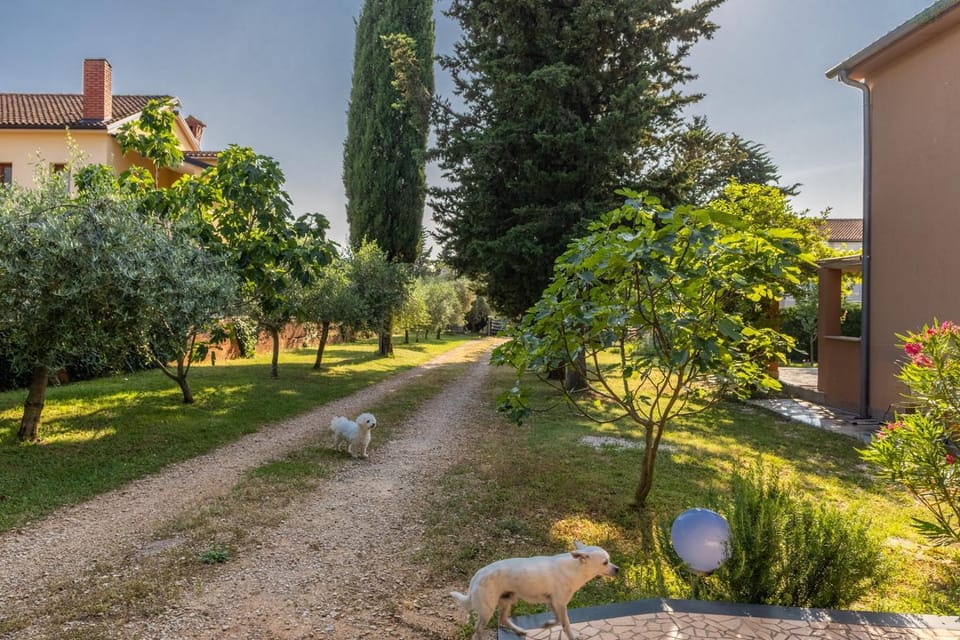 Garden, pet friendly