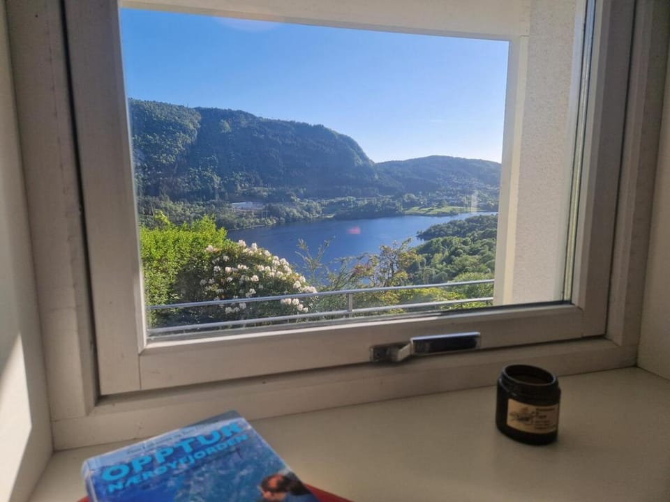 Lake view