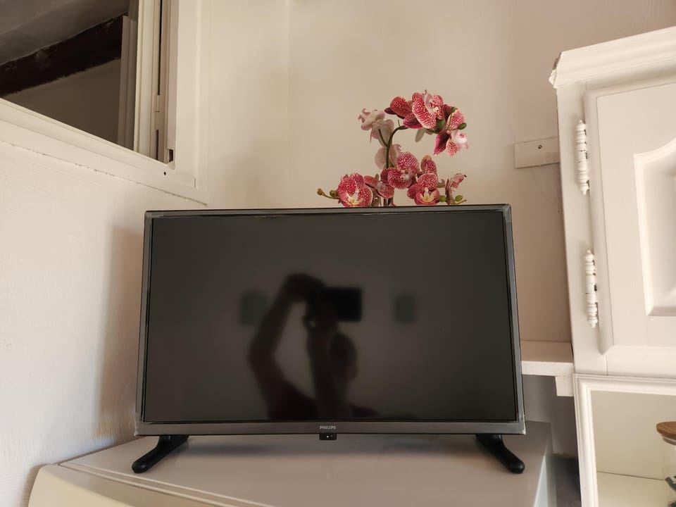 French Cocoon Apartment in Fayence