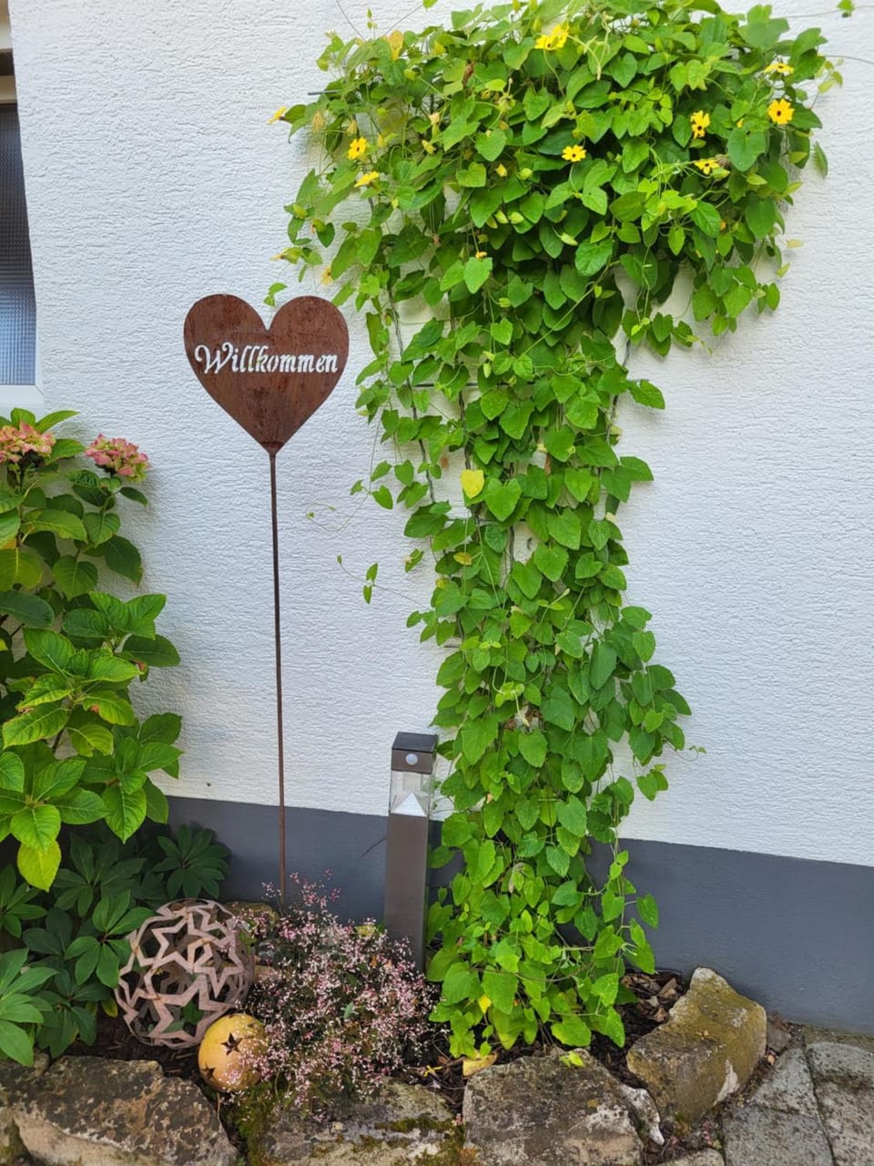 Bodensee Idylle Apartment in Friedrichshafen