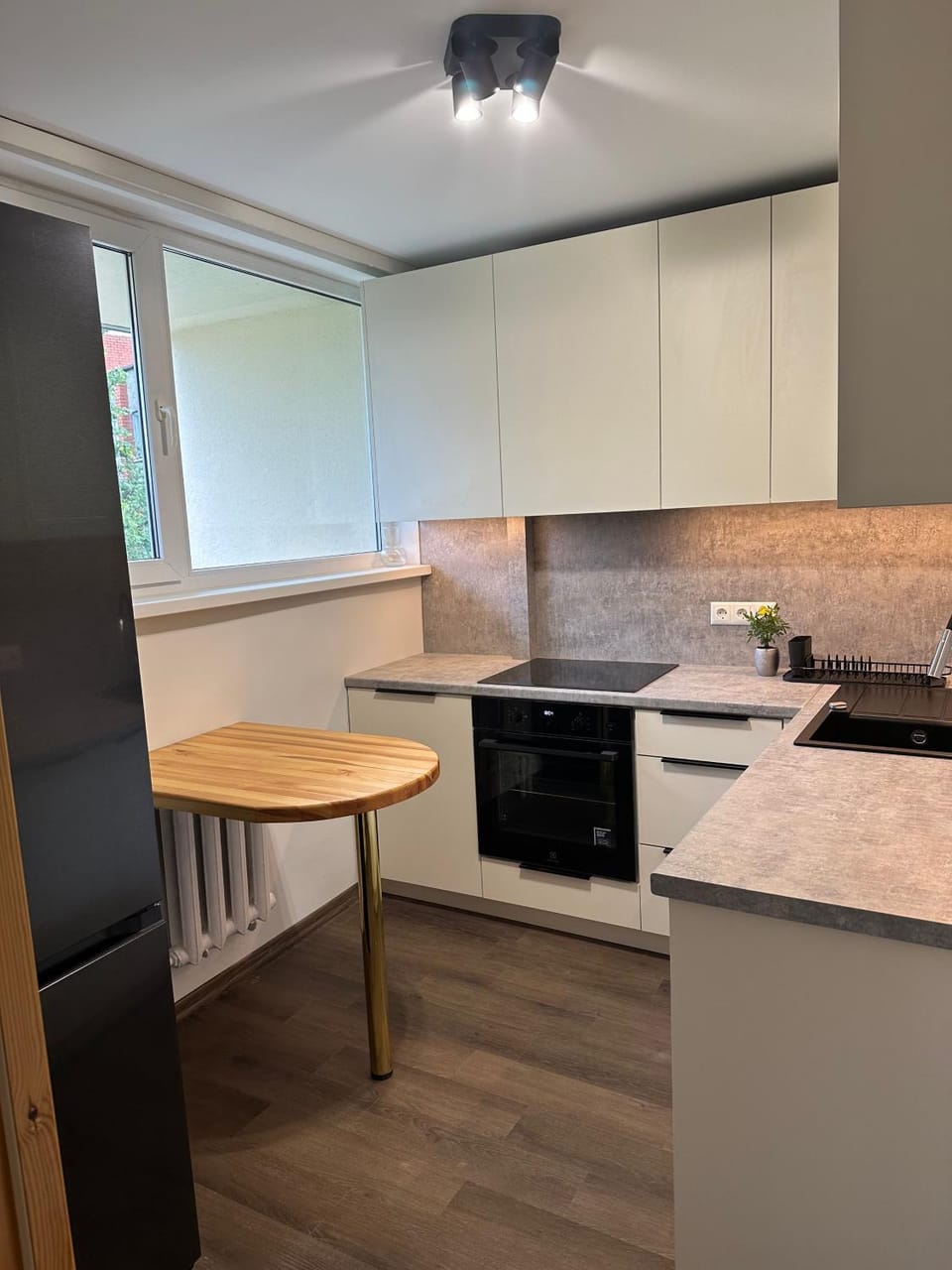 Kitchen or kitchenette, kitchen