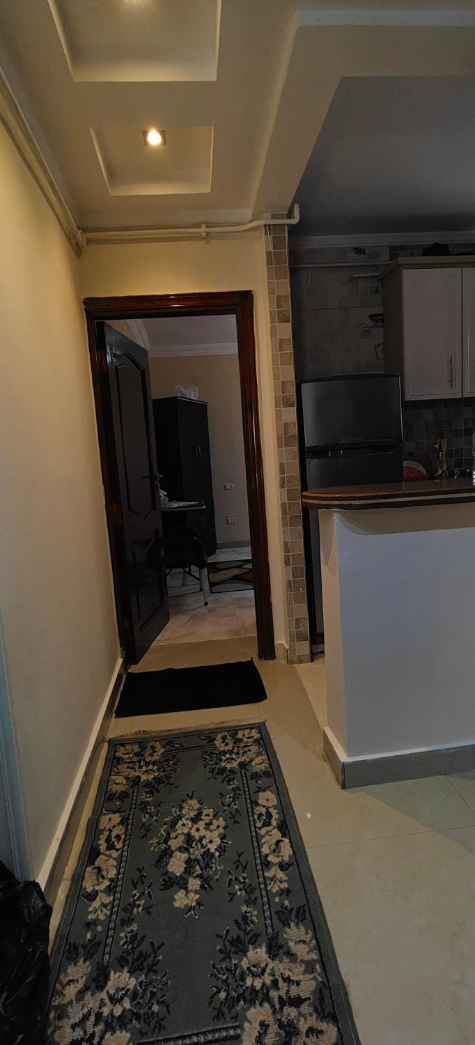 شقة فندقية Apartment in Alexandria