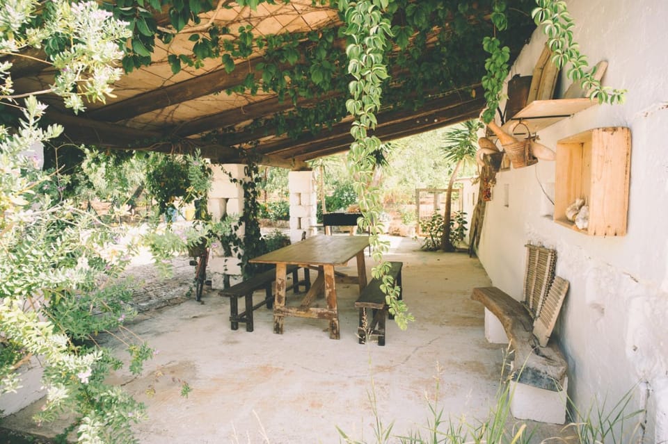 Patio, Garden, Garden view